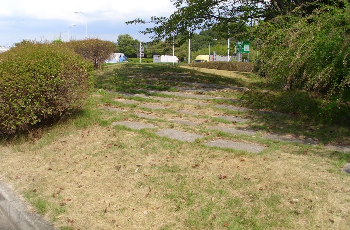 傾斜もある緑地です。