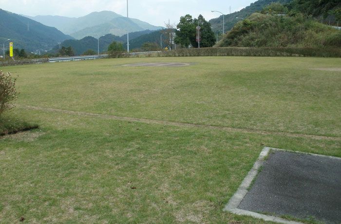 意外に広い芝生エリア。