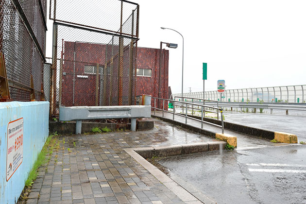 駐車場から建物までは歩道があります。