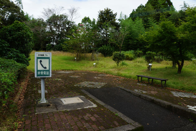 木々がたくさん植えてある小さな緑地があります。