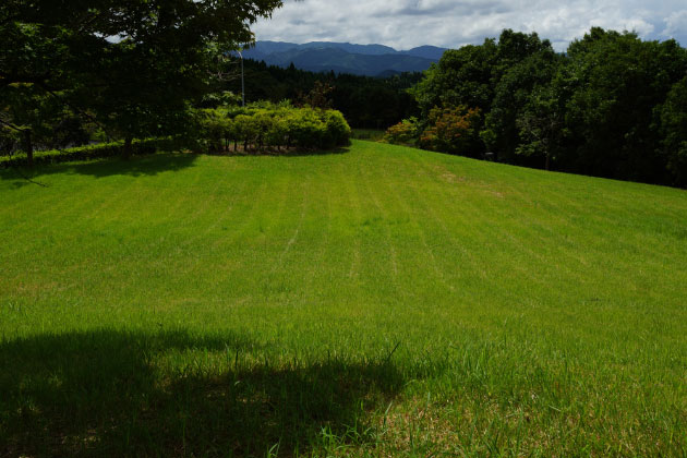 全面芝生敷きの広々とした緑地！