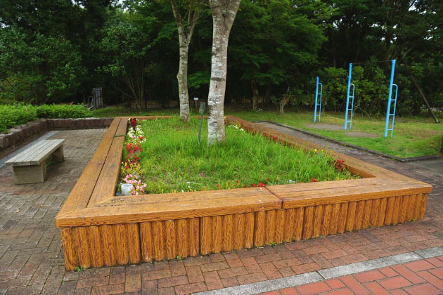 花壇では、季節の花が楽しめます。