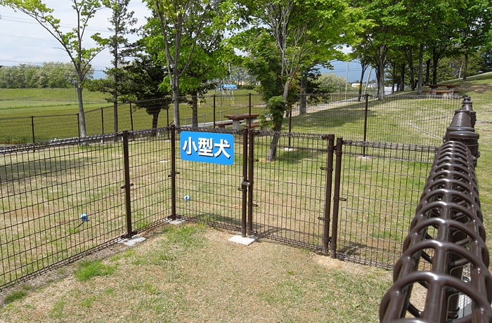 こちらは、小型犬用ドッグランの様子です。