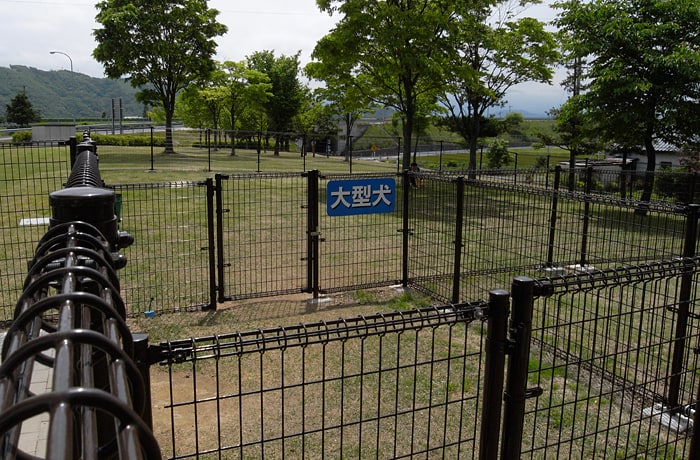 大型犬用はこちら。