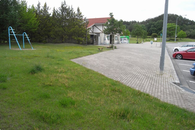 入口側の緑地から見た、全景です。