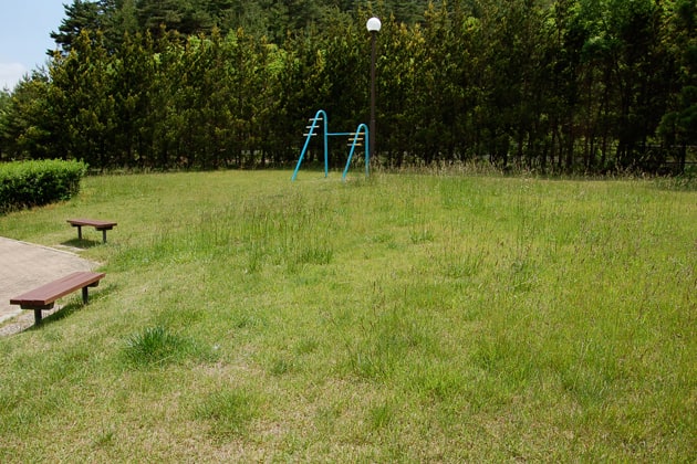 広々とした芝地に、ベンチが少し点在しています。