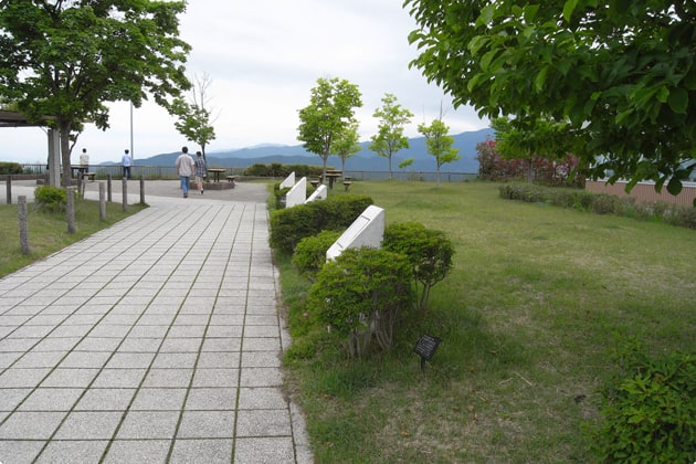 こちらは、展望台へ向かう途中の緑地です。