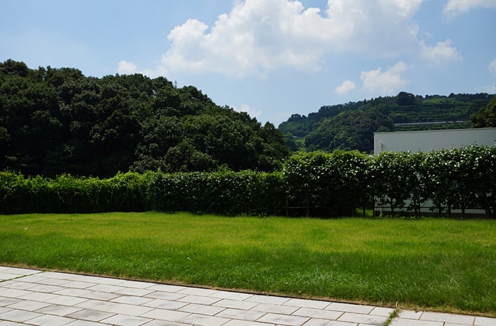 緑地です。こちらでわんことお散歩しましょう。