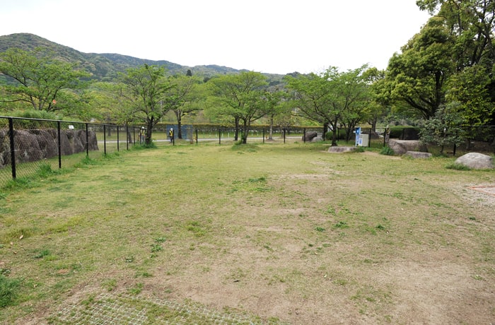 芝生のドッグランです。