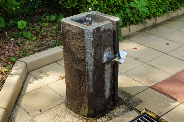 水飲み場です。
