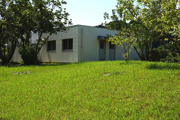 建物の裏も緑地になっています。