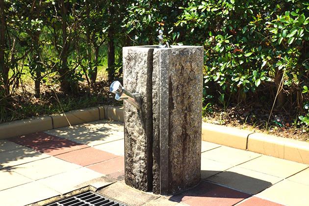 水飲み場です。