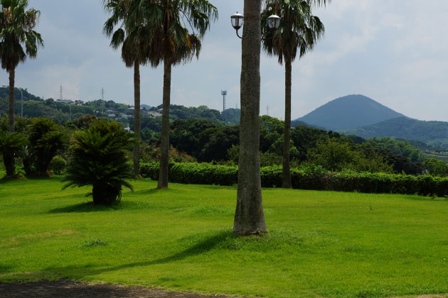 景色を堪能しながら、わんことお散歩しましょう。