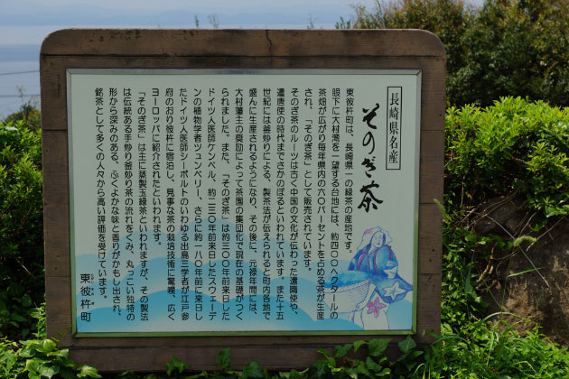 「そのぎ茶」の説明が書かれています。