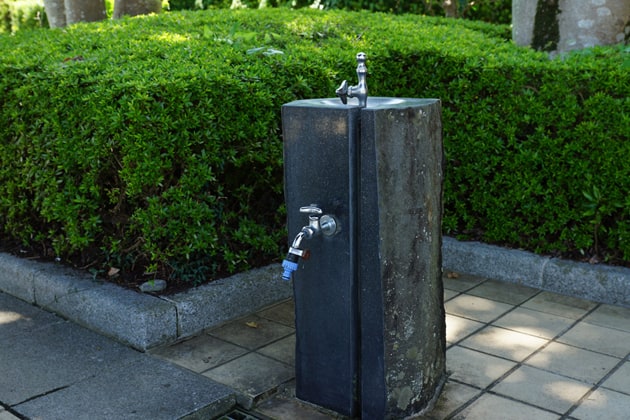 水飲み場です。
