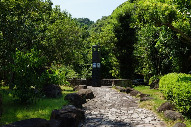 緑に囲まれた遊歩道をわんこと一緒に歩くことができますよ。