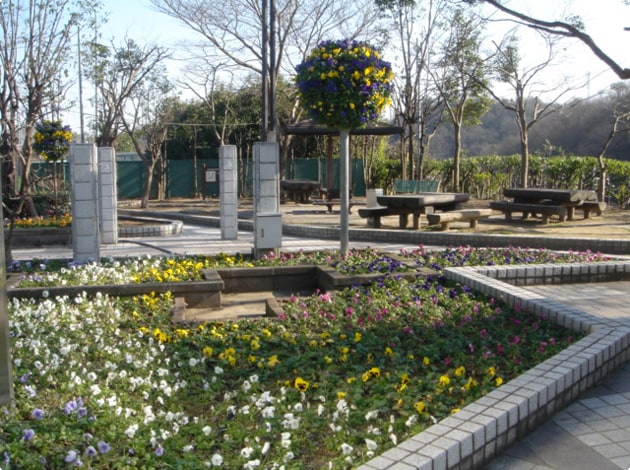 小さいながらも公園があります。季節によっては、きれいな花々が花壇を彩ります。