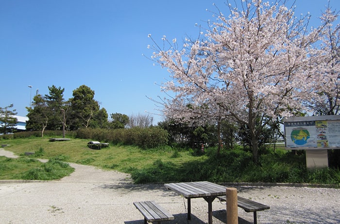 春には桜を観ながら休憩ができますよ。