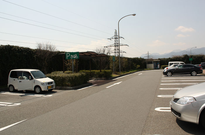駐車場奥まで行くと少し緑地はありますが、車には十分注意しましょう。