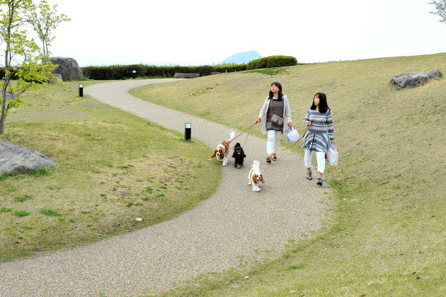 遊歩道をわんこと散策！