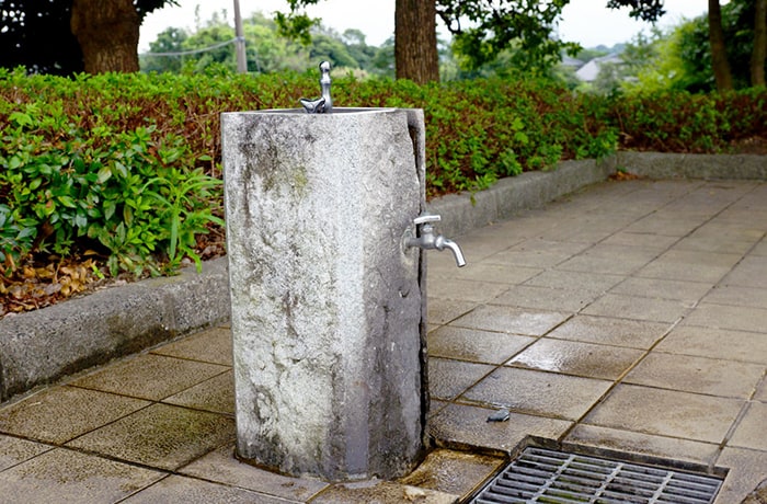水飲み場です。