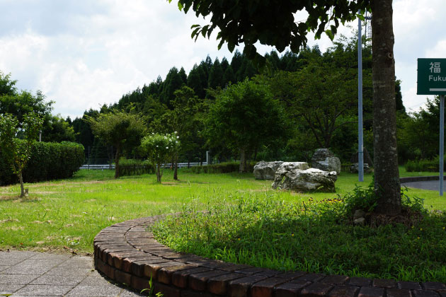 出口側の緑地でもお散歩ができます。