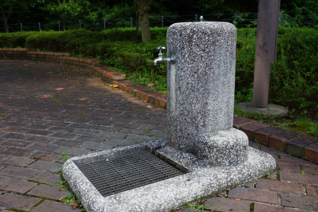 水飲み場が設置してありますよ！