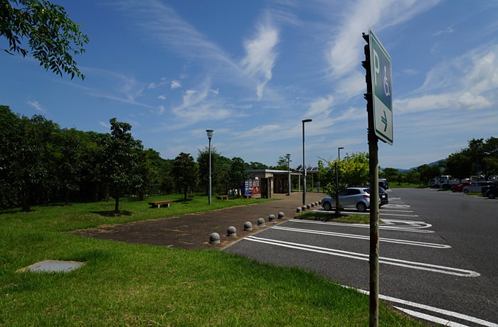 入り口側の緑地です。
