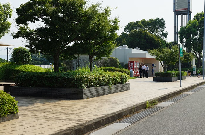 建物隣りの一画に木が植えてあります。涼しげですね！
