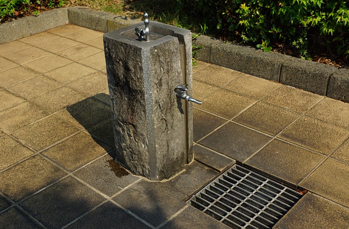 水飲み場がありますよ。