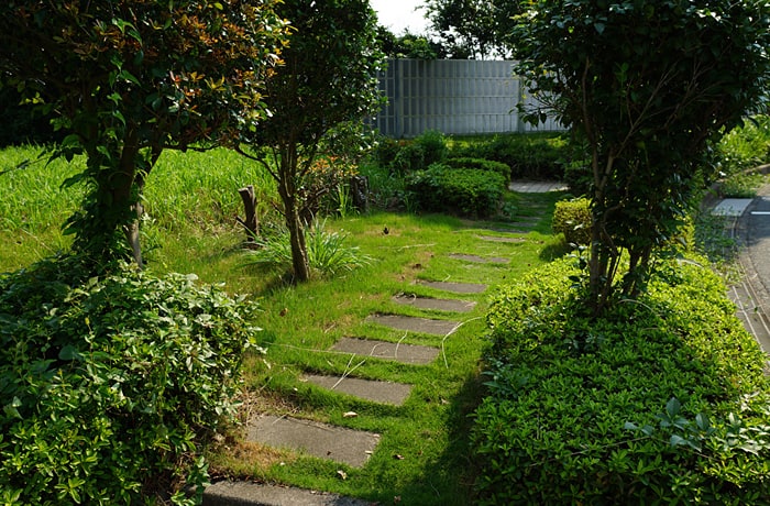 遊歩道があります。