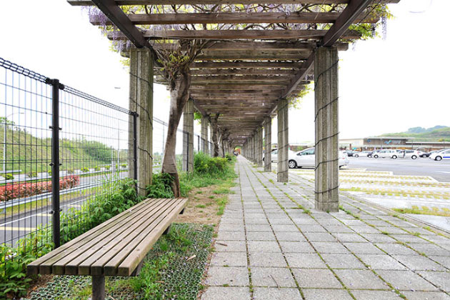 藤棚の通路とベンチです。