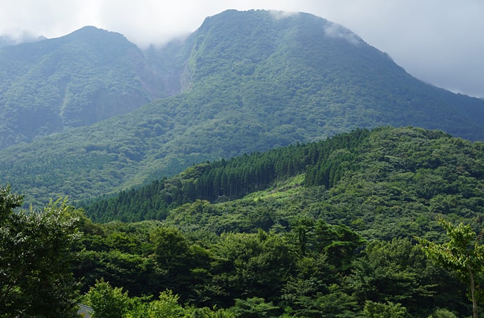 壮大な山々の景色を堪能できます！