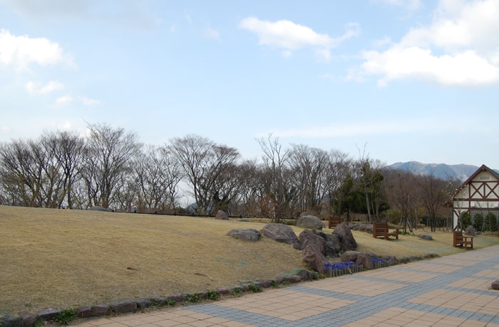 緑地の中にはベンチが点在しています。