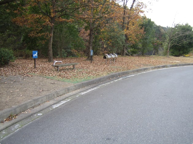 道路の脇に緑地があり、ベンチも置かれています。