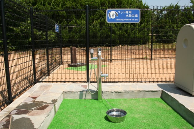 シャワー付きのわんこの水飲み場です。