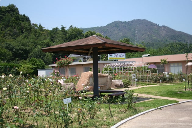 いろいろな賞を受賞しているバラ園の前には東屋があります。
