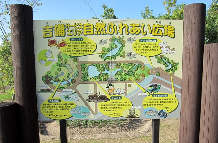 「自然ふれあい広場」はわんことのお散歩にぴったり！