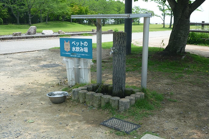 わんこ用水飲み場があるのはうれしいですね。