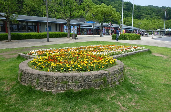 きれいな花壇がありますよ！