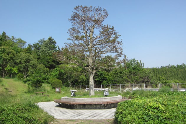 緑地とベンチがあります。新鮮な空気の中でゆったり休憩しましょう。