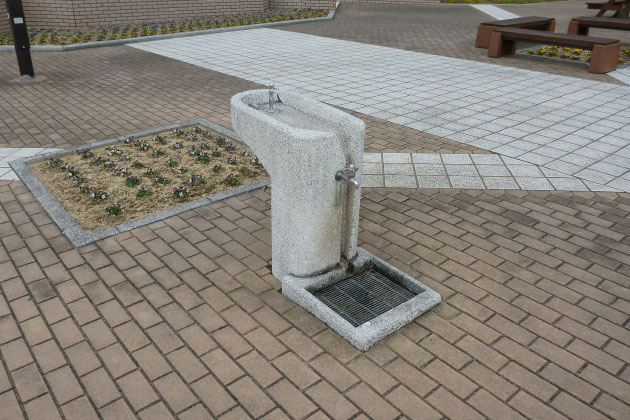 水飲み場もありますよ。