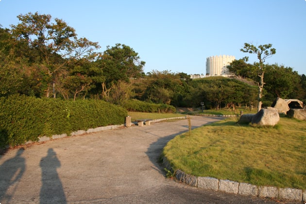 遊歩道が整備されているので、わんこと一緒にお散歩も楽しめます。