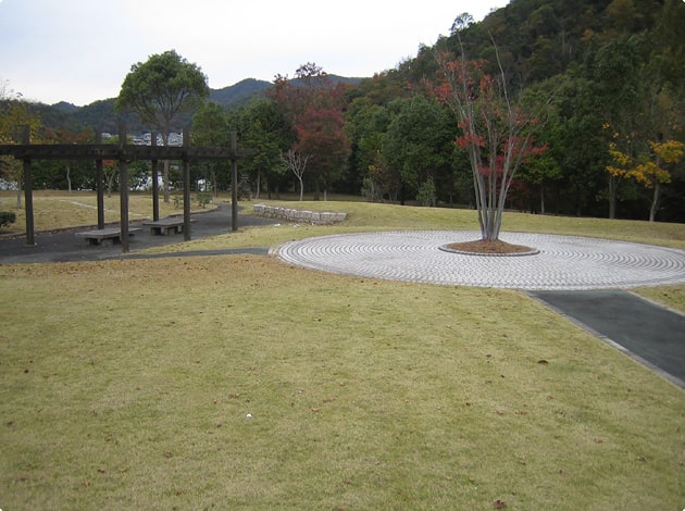 広々とした緑地があり、ベンチが点在しています。