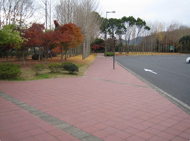 木々に囲まれた緑地をわんこと一緒に散策しましょう。