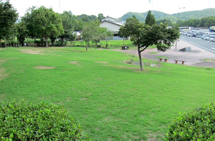 斜面になっている園地です。お散歩する時は足元に気を付けましょう！