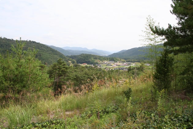 展望台からみた風景。