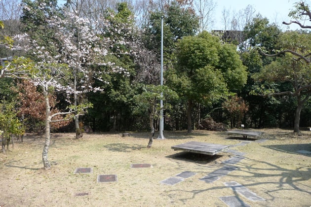 木々に囲まれた緑地には、ベンチが設置されています。