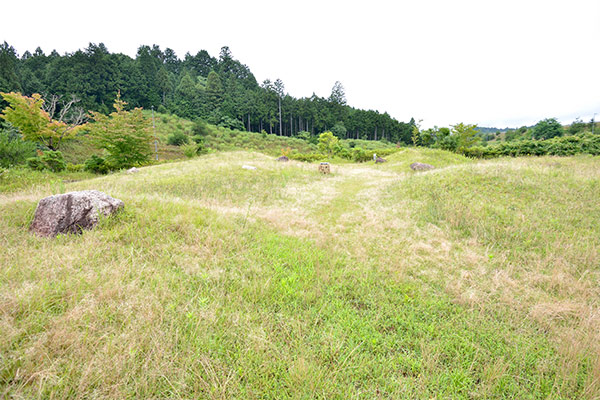 建物のまわりには広い緑地があります。（車道と面した場所もありますのでクルマの通行にご注意ください）