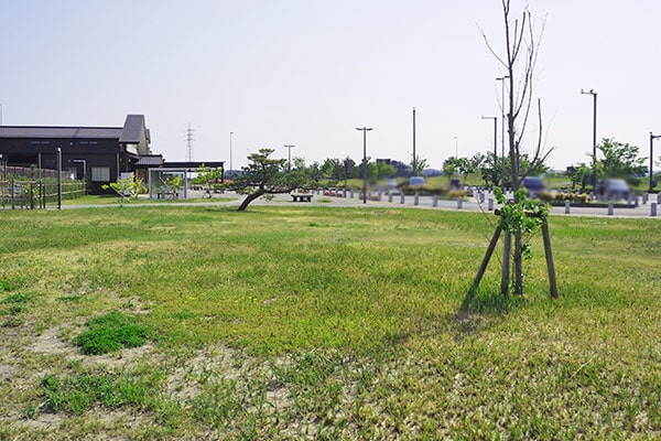 建物の周囲には広い緑地があります。